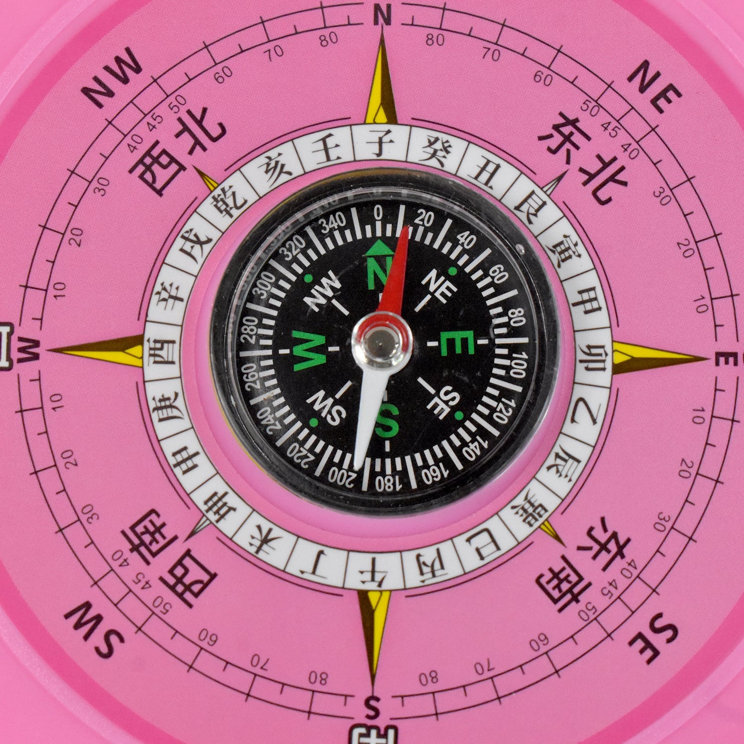 PathFinder Timepiece PathFinder Timepiece